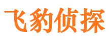 达日市侦探公司